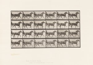 Tafel 607. Trabend; Sulky; Braune Stute, Lizzie M. von Eadweard Muybridge