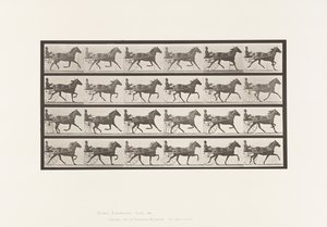 Tafel 609. Trabend; Sulky; Braune Stute Lizzie M.