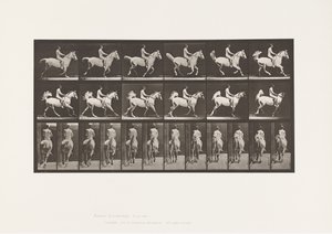 Tafel 622. Galopp; Sattel; Reiter, 43, Nackt; graues Pferd Smith, 1885