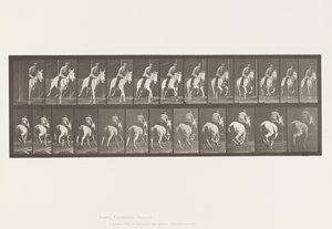 Tafel 635. Galopp; Sattel; Graue Stute Pandora