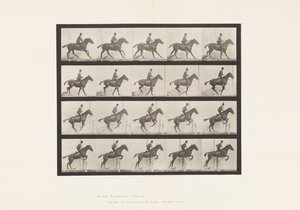 Tafel 636. Hürdensprung; Sattel; Vorbereitung auf den Sprung