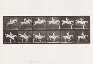 Tafel 643. Hürde überspringen; Ohne Sattel; Überwinden und Landen von Eadweard Muybridge