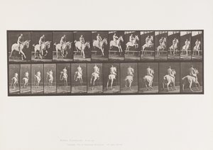 Tafel 647. Springt über ein Hindernis; Ohne Sattel; Reiter von Eadweard Muybridge
