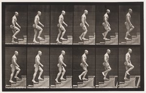 Tafel 91. Treppensteigen von Eadweard Muybridge