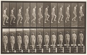 Tafel 92. Treppen hinaufsteigen von Eadweard Muybridge
