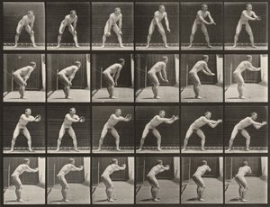 Tafel Nummer 280. Baseball, Fangen von Eadweard Muybridge