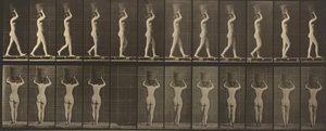 Tafel Nummer 34. Gehen und Tragen eines 15-lb.-Korbes auf dem Kopf, Hände erhoben von Eadweard Muybridge