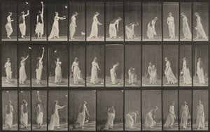 Tafel Nummer 463. Hochgreifen, Bücken und Umdrehen von Eadweard Muybridge