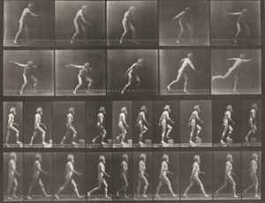 Tafel Nummer 519. A: Werfen einer Scheibe. B: Hinaufsteigen auf eine Stufe. C: Gehen von Eadweard Muybridge