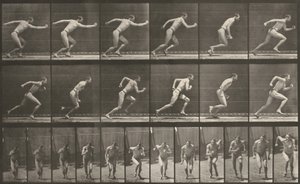 Tafel Nummer 59. Start zu einem Lauf von Eadweard Muybridge