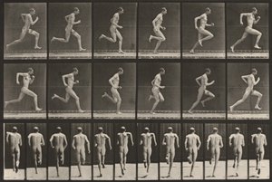 Tafel Nummer 62. Laufen mit voller Geschwindigkeit von Eadweard Muybridge