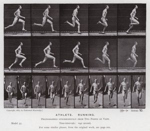 Die menschliche Figur in Bewegung: Athlet, laufend