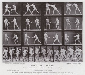 Die menschliche Figur in Bewegung: Boxer, Boxend