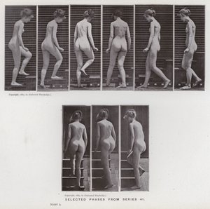 Die menschliche Figur in Bewegung: Ausgewählte Phasen aus Serie 41 von Eadweard Muybridge