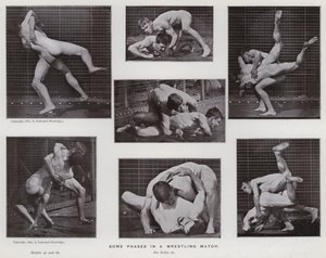 Die menschliche Figur in Bewegung: Einige Phasen in einem Wrestling-Match