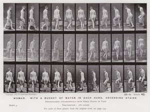 Die menschliche Figur in Bewegung: Frau, mit einem Eimer Wasser in jeder Hand, Treppen aufsteigend von Eadweard Muybridge