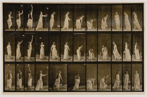 Frau wirft Taschentuch in die Luft, hebt es auf, aus dem Buch Animal Locomotion von Eadweard Muybridge