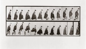 Frau steigt Treppen hinauf und springt hinunter, Platte 173 aus Animal Locomotion