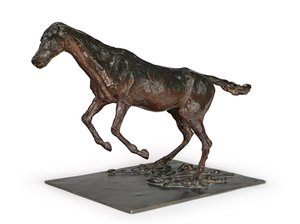 Pferd überwindet ein Hindernis