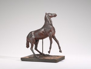 Aufbäumendes Pferd, 1880er Jahre