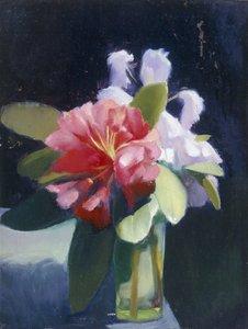 Rhododendren