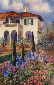 Eine Ecke des Gartens in der Villa Arcadia, Johannesburg