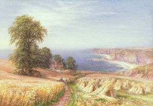 Erntezeit am Meer
