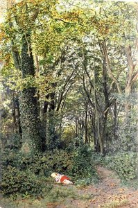 Verloren im Wald