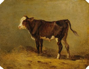 Kälbchen von Edmund Mahlknecht