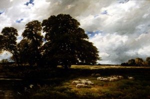 Landschaft mit Schafen