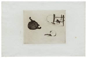 Die Katzen