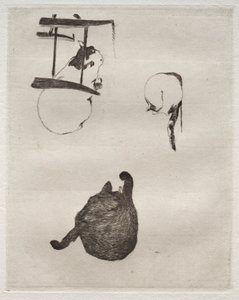 Die Katzen