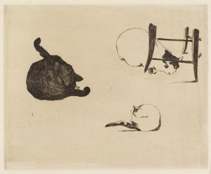 Die Katzen, 1869 von Édouard Manet