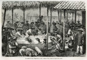 Hahnenkampf und Straßenanimation in Ibague (Kolumbien), Zeichnung von Riou, um die Geschichte von Äquatorialamerika (Kolumbien, Ecuador, Peru) in 1875-1876 von Ed. Andre, Reisemission beauftragt von der französischen Regierung, zu illustrieren. Gravur in L von Edouard Riou