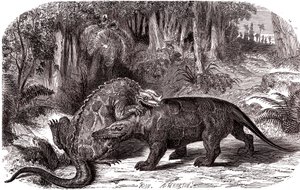 Der Iguanodon und der Megalosaurus von Edouard Riou