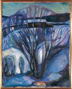 Oslo, Winterlandschaft, Ekely