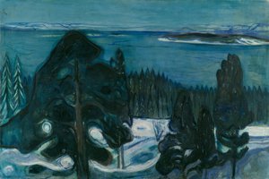 Winternacht