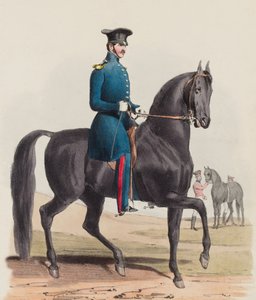 Royal Horse Guards, Reitlehrer und Rough Riders