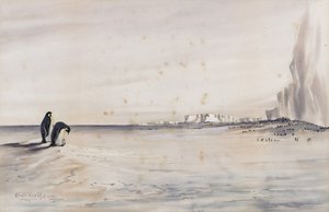 Die Kaiserpinguin-Kolonie, Cape Crozier