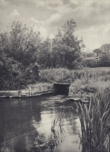 Ein kleiner Träger am Ramsbury Water von Edward Alfred Barton