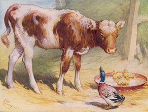 Kalb und Enten