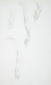 Studien von Armen und Händen (recto); Studie eines weiblichen Torsos (verso) von Edward Burne-Jones