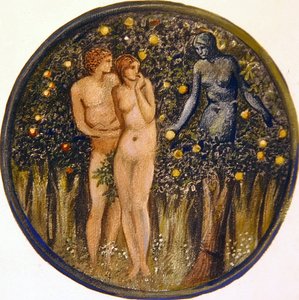 Das Blumenbuch: VIII. Natternzunge