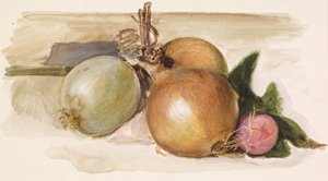 Stillleben - Studie von Zwiebeln