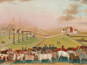 Die Cornell Farm