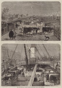 Vieh für den Weihnachtsmarkt von Edward Hull