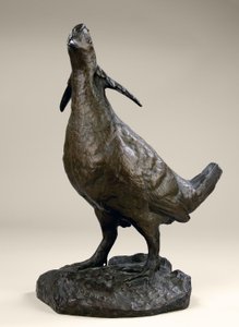 Präriehuhn