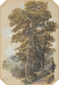 Corpo di Cava, 28. Juni 1838 von Edward Lear