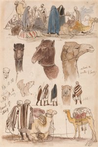 Außerhalb der Mauern von Suez, 17. Januar 1849, 08:30 Uhr von Edward Lear