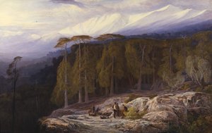 Der Wald von Valdoniello, Korsika, 1869 von Edward Lear